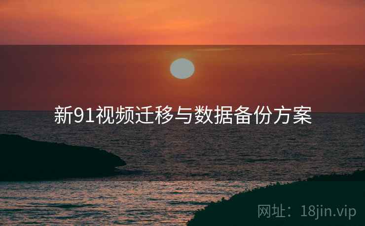 新91视频迁移与数据备份方案