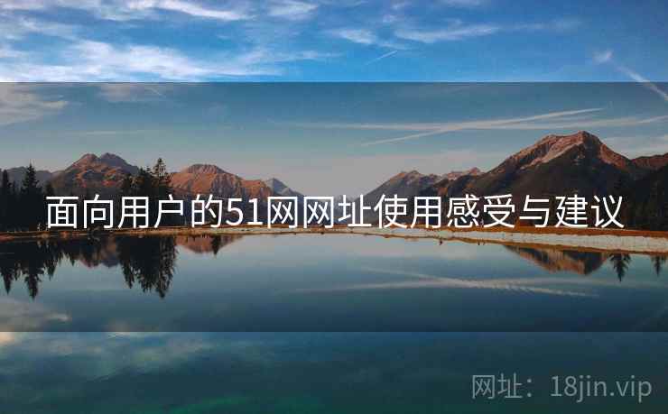面向用户的51网网址使用感受与建议