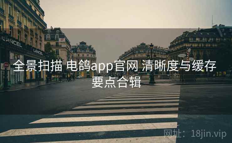 全景扫描 电鸽app官网 清晰度与缓存 要点合辑