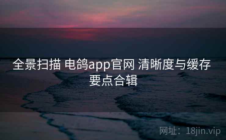 全景扫描 电鸽app官网 清晰度与缓存 要点合辑